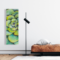 Toile 16 x 48 - Succulent à l'aquarelle