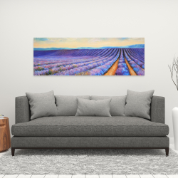 Canvas 16 x 48 - Lavender fields