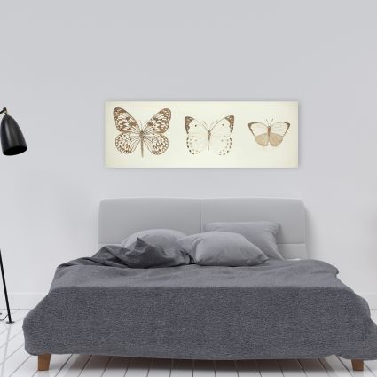 Papillons sépia