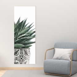 Canvas 16 x 48 - Zebra plant succulent