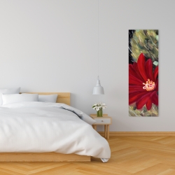 Canvas 16 x 48 - Echinopsis red cactus flower