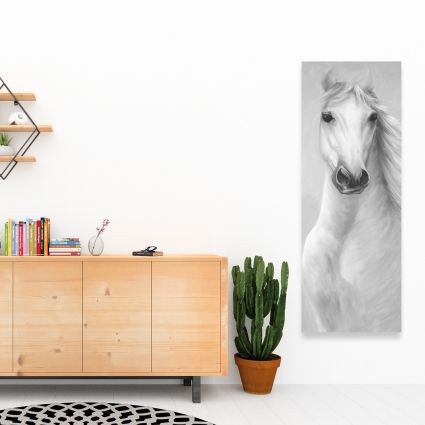 Monochrome mighty white horse