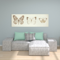 Toile 20 x 60 - Papillons sépia