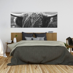 Canvas 20 x 60 - Monochrome portrait highland cow