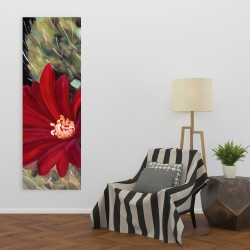 Canvas 20 x 60 - Echinopsis red cactus flower