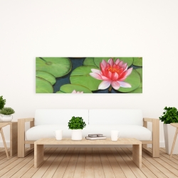 Toile 20 x 60 - Fleurs de lotus dans un marais
