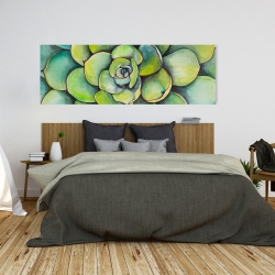Toile 20 x 60 - Succulent à l'aquarelle