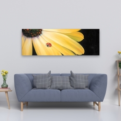 Canvas 20 x 60 - Yellow daisy and ladybug