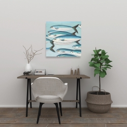 Canvas 24 x 24 - Small fish of caesio caerulaurea