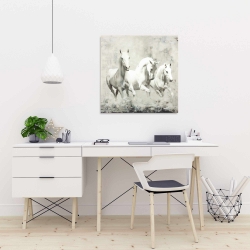 Canvas 24 x 24 - Three white horses running
