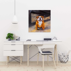 Toile 24 x 24 - Bouledogue souriant
