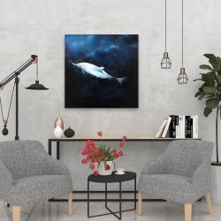 Canvas 24 x 24 - Swimming dolphin
