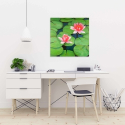 Canvas 24 x 24 - Lotus flowers in a swamp