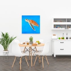 Toile 24 x 24 - Tortue de mer