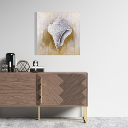Canvas 24 x 24 - Conical shell