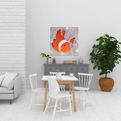 Poisson clown sous la mer