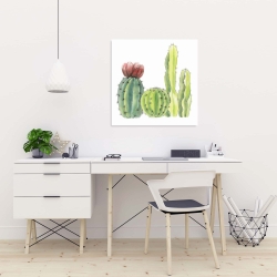 Toile 24 x 24 - Quatre petits cactus