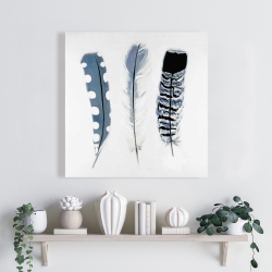Toile 24 x 24 - Plumes bleues délicates