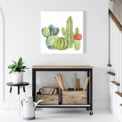 Toile 24 x 24 - Rassemblement de petits cactus