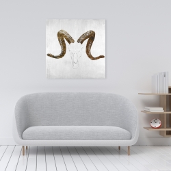 Canvas 24 x 24 - Aeries skull with brown horns