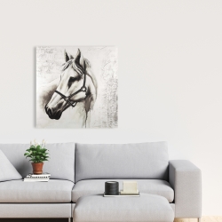 Toile 24 x 24 - Flicka le cheval blanc