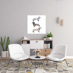 Toile 24 x 24 - Chiens teckel