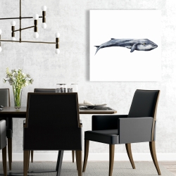 Toile 24 x 24 - Baleine en aquarelle