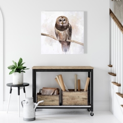 Canvas 24 x 24 - Barred owl