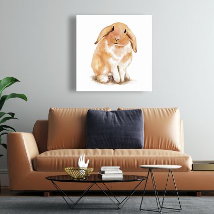 Lop-rabbit