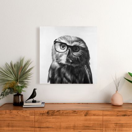 Northern saw-whet owl with glasses