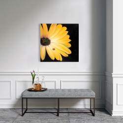 Canvas 24 x 24 - Yellow daisy and ladybug