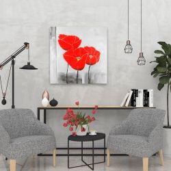 Canvas 24 x 24 - Three poppies