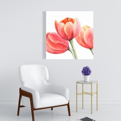 Toile 24 x 24 - Belles tulipes 