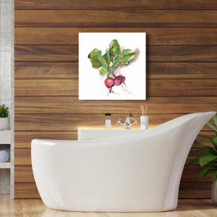 Radis à l'aquarelle