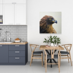 Canvas 24 x 24 - Brown-headed eagle