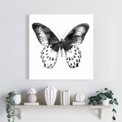 Toile 24 x 24 - Papillon noir