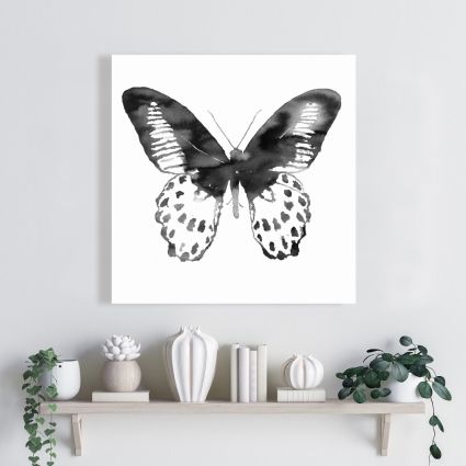 Papillon noir