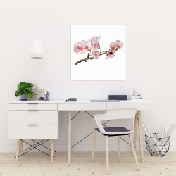 Canvas 24 x 24 - Branch of cherry blossom in pink