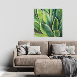 Toile 24 x 24 - Plante d'agave à l'aquarelle