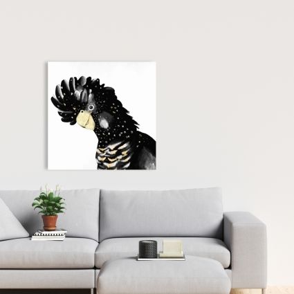 Cockatoo parrot