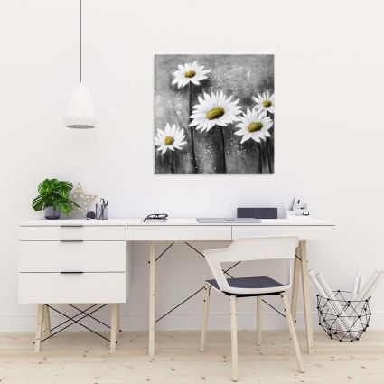 Daisies