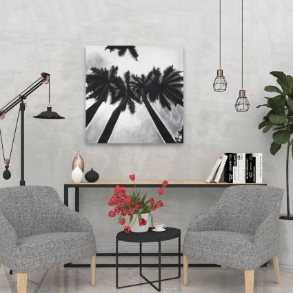 Monochrome palm trees