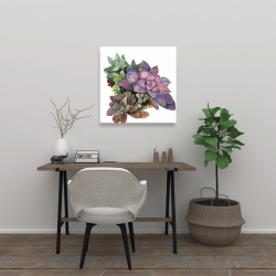 Canvas 24 x 24 - Succulent plant