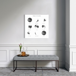 Canvas 24 x 24 - Phases of the moon