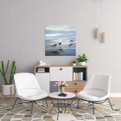 Three gulls