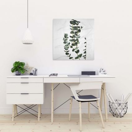 Eucalyptus stems