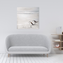 Toile 24 x 24 - Deux oiseaux bécasseau