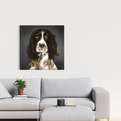 Brown english springer spaniel