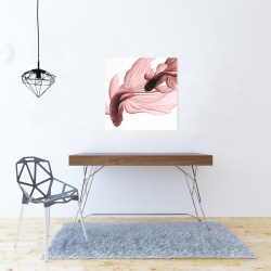 Toile 24 x 24 - Poissons betta rouge