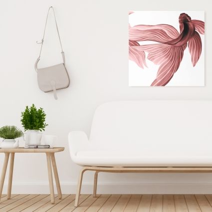 Red betta fish